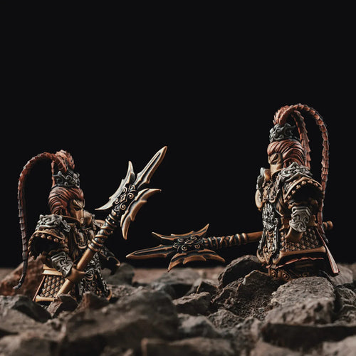 DRAKION -  Édition limitée